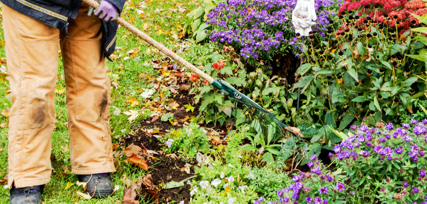 Park Low Maintenance - Perennial Garden