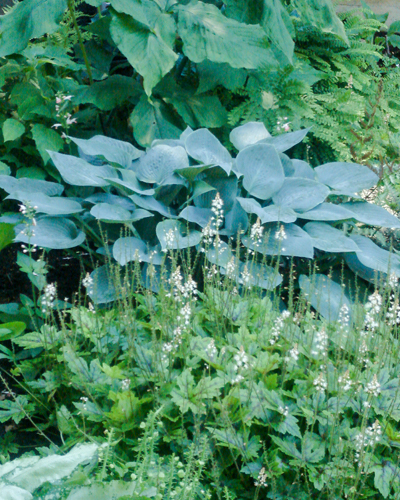 Garden Design Menomonie, Wisconsin