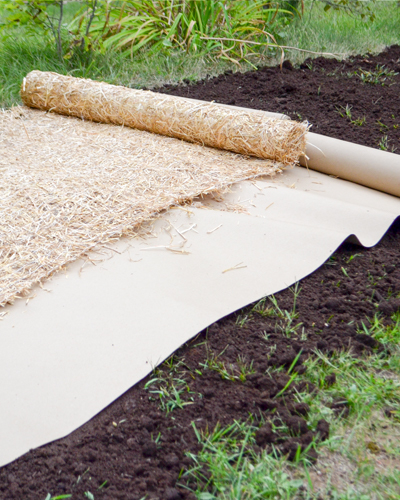 Garden Design Menomonie, Wisconsin